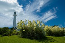 King's Wharf Gibb's Hill Lighthouse cruise excursion